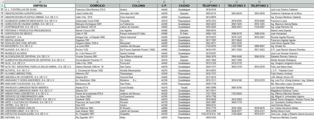 base datos empresas guadalajara muestras